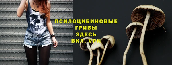 кристаллы Няндома