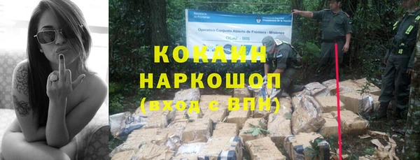 гашик Абаза