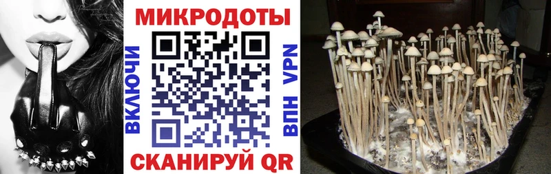 kraken сайт  Амурск  Галлюциногенные грибы Magic Shrooms 